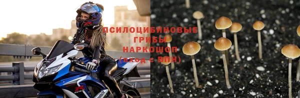 гидропоника Нефтегорск
