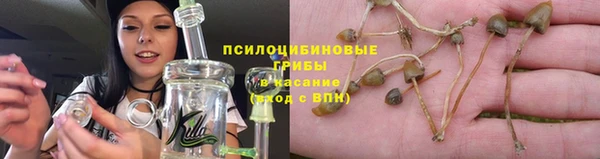 гидропоника Нефтегорск