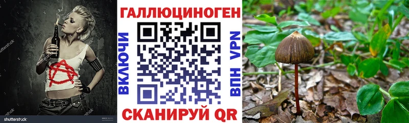 Галлюциногенные грибы Psilocybine cubensis  дарнет шоп  Короча 